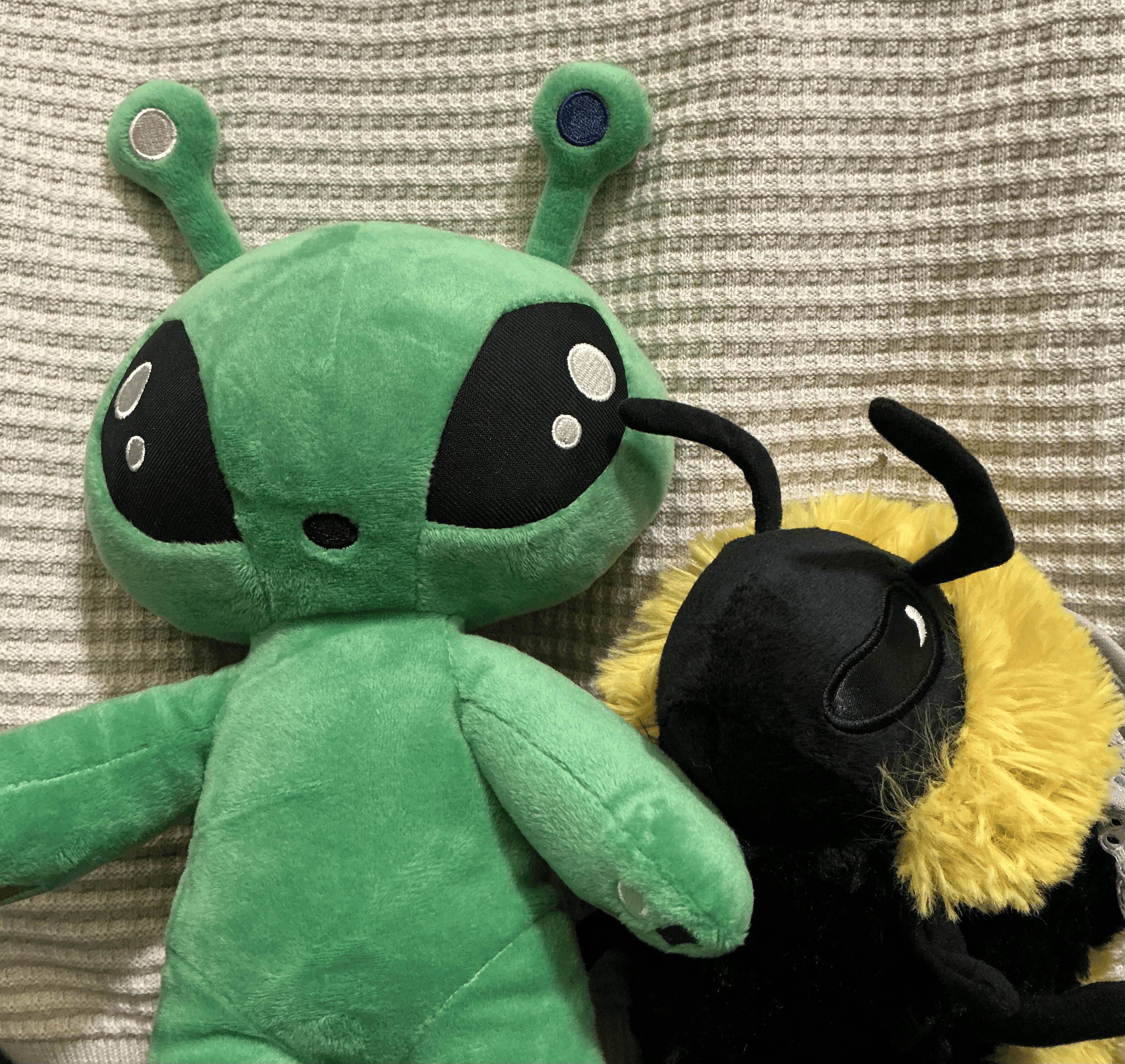 A picture of Ikie, an alien stuffed animal and Bea, a bee stuffed animal.